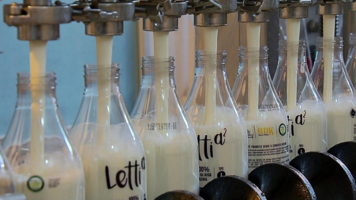 A bebida já está sendo vendida no país por um preço até 3 vezes maior do que o leite tradicional, do tipo A1 que, segundo estudos, contém uma proteína que gera desconfortos como gases e sensação de barriga inchada