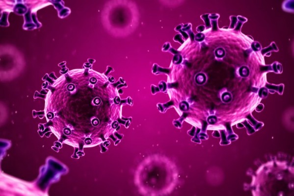 Estado totaliza 144.940 infectados pelo novo coronavírus 