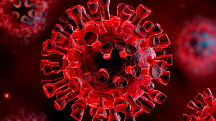 Estado totaliza 130.637 infectados pelo novo coronavírus 