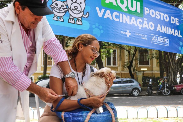 Para que os animais sejam vacinados, o tutor deverá estar portando a carteira de vacinação do cão ou gato. Quem não possuir o documento, receberá a carteirinha no local, com o registro da aplicação e o lote da vacina utilizada