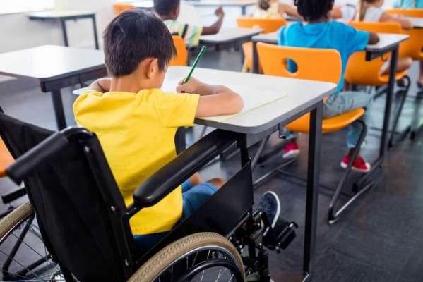 A finalidade acompanhar o processo escolar de inclusão das pessoas com deficiência nas escolas particulares do Recife