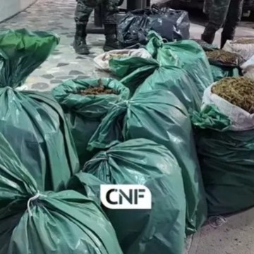 Polícia Militar de Pernambuco apreende mais de 100 quilos de maconha em operação na BR-232