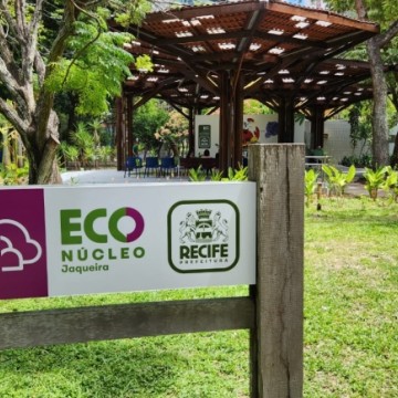  Secretaria de Meio Ambiente do Recife recolhe potes de vidro para armazenamento de leite materno