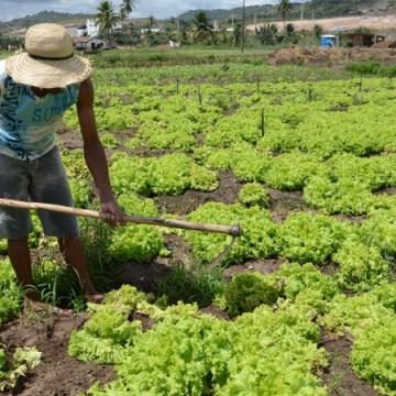 Governo de Pernambuco cria Comissão Estadual de Acompanhamento dos Conflitos Agrários