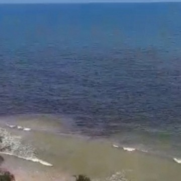  Análise confirma maré vermelha na Praia de Boa Viagem