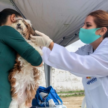 Atendimento veterinário gratuito é disponibilizado pela Prefeitura de Agrestina 
