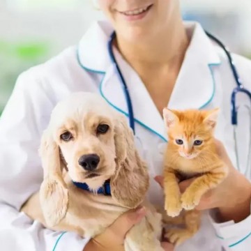 Vacinação antirrábica para cães e gatos é realizada em Caruaru