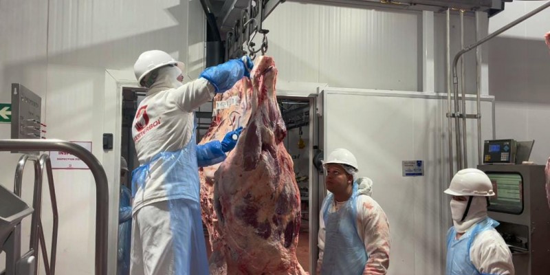 Até o final do ano, mais de 300 toneladas de carnes devem ser exportadas da planta da Masterboi em Canhotinho