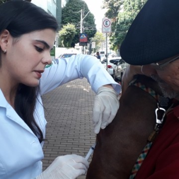 Prefeitura do Recife vacina mais de 115 mil gatos e cachorros nos primeiros dias de vacinação contra a raiva