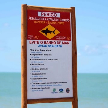 Incidentes com tubarões em PE - Especial 10 anos da CBN Recife