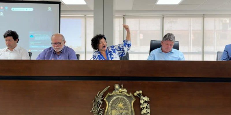 O levantamento foi exposto no auditório Ênio Guerra, na casa Joaquim Nabuco, sob o comando da líder de oposição, a deputada Dani Portela (PSOL)