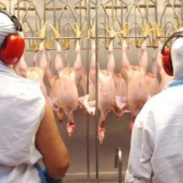 Arábia suspende compra de carne de ave de 11 frigoríficos do Brasil
