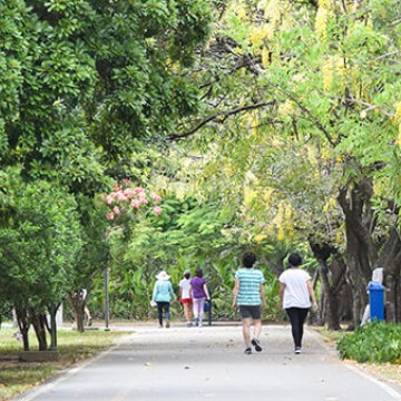 Prefeitura do Recife abre consulta pública gratuita para concessão de quatro parques da cidade