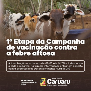 Prefeitura de Caruaru inicia campanha de vacinação contra a febre aftosa