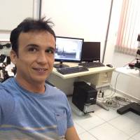 Dentista baiano larga carreira no Brasil pra trabalhar como motorista de aplicativo nos EUA