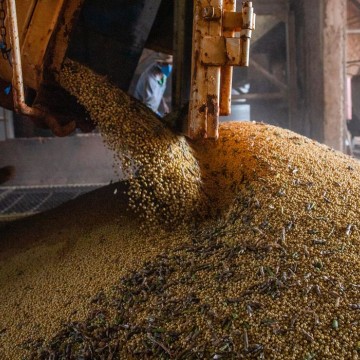 Safra de grãos deve chegar a 271,3 milhões de toneladas, estima Conab