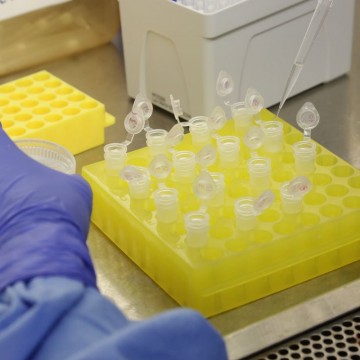 Fiocruz recebe material genético para apurar teste de coronavírus