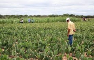 Prejudicados pela pandemia, agricultores esperam que programa estadual de aquisição de alimentos saia do papel
