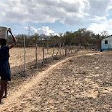 Municípios do Nordeste decretam estado de emergência por conta da seca