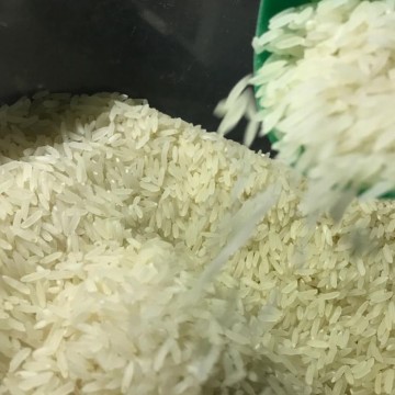 Governo zera imposto de importação do arroz até dezembro 