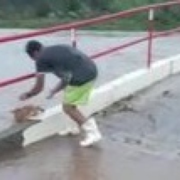 Homem é preso por arremessar cachorro em riacho no Sertão de Pernambuco