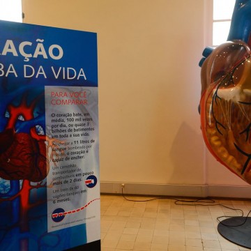 Internações por infarto aumentam mais de 150% no Brasil