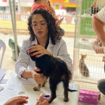 Ação para vacinação antirrábica gratuita e adoção de cães e gatos estão sendo realizadas em Caruaru