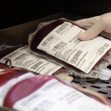 Estoque de sangue do Hemope enfrenta situação crítica