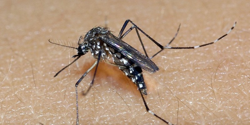 Neste final de semana agentes de saúde ambiental e controle de endemias realizaram mutirão contra o mosquito