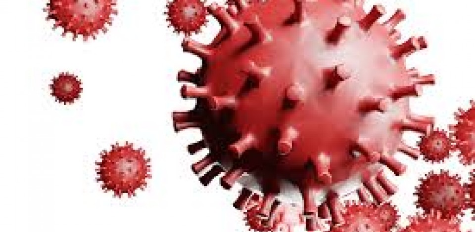Nova variante do coronavírus é identificada no Rio de Janeiro