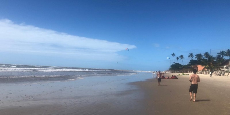 Na praia de Maracaípe, em Ipojuca, três banhistas foram hospitalizados após terem contato com algas 