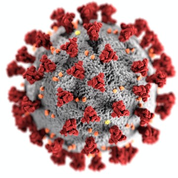 Nova variante do coronavírus chega na Europa