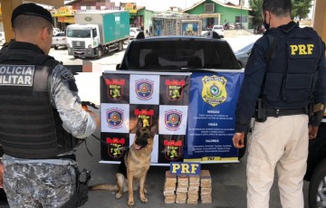 PRF e Biesp apreendem mais de 24kg de droga em São Caetano