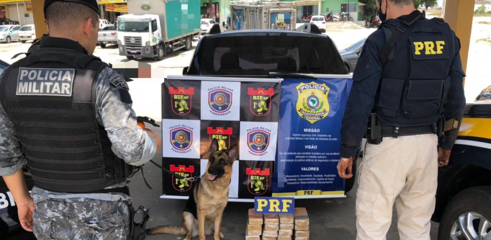 PRF e Biesp apreendem mais de 24kg de droga em São Caetano