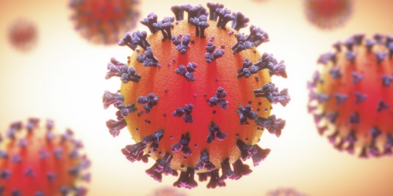 Estado totaliza 142.488 infectados pelo novo coronavírus, além de 8.055 óbitos 