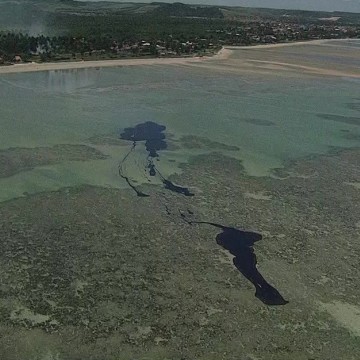Força-tarefa vai avaliar reaparecimento de manchas de óleo na costa pernambucana 
