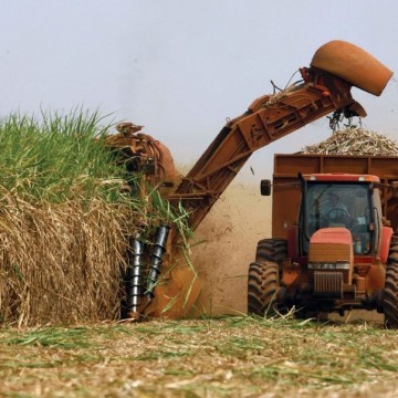 Produção de Safra de cana-de-açúcar cresce 5,9%, e atinge 45,8 milhões de toneladas