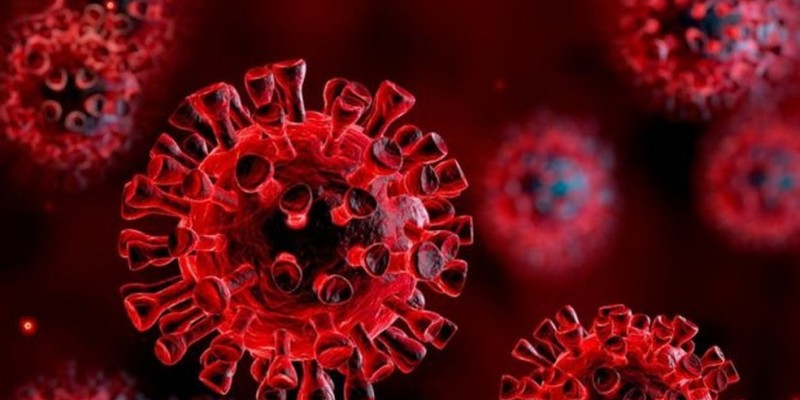  Do início da pandemia até o mês de outubro, no estado, 753 mil pessoas, equivalente a 7,9% da população, fez algum teste para detectar a Covid-19