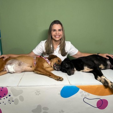 Clarissa Tércio anuncia apoio à causa animal e cobra mais investimentos na área em Jaboatao