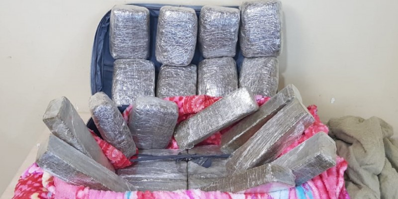 PF já apreendeu quase 28 kg de cocaína e 17 kg de maconha no Aeroporto dos Guararapes 