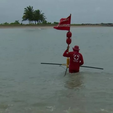 Praias do Grande Recife começam a receber bandeiras flutuantes que alertam para risco de ataque de tubarão