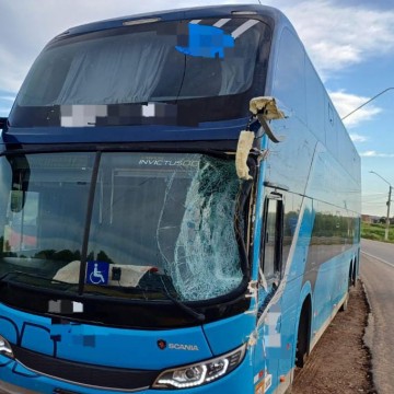 Colisão entre ônibus de viagem e caminhão deixa motorista ferido na BR-428, em Petrolina