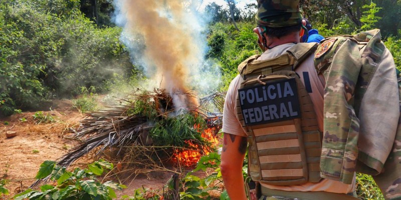 Ação da Polícia Federal com apoio das polícias Rodoviária Federal, Militar, Civil e Corpo de Bombeiros contou com efetivo de mais de 80 pessoas e apreensão de 180 toneladas da droga