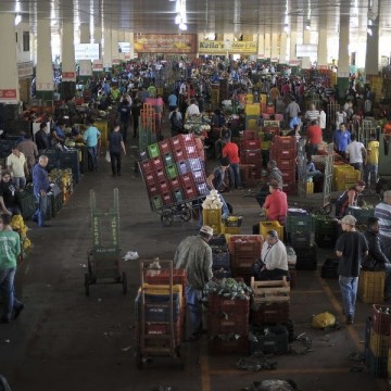 Hortaliças lideram quedas de preço no Ceasa do Recife em agosto