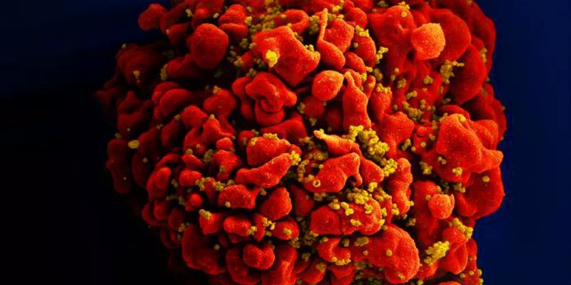 No Brasil, 694 mil pacientes estão em tratamento contra o HIV. De acordo com o Ministério da Saúde, esse número representa uma cobertura de 81% das pessoas diagnosticadas com o vírus no país