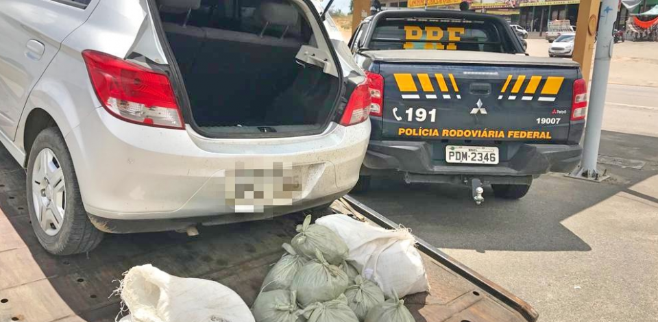 Três pessoas são detidas com mais de 20 quilos de maconha em Caruaru