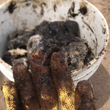 CPRH investiga novos fragmentos de óleo em praias pernambucanas