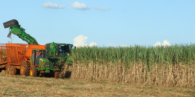 Levantamentos feitos pelo Sindaçúcar, apontam uma diminuição no consumo do biocombustível de cerca de 60%   