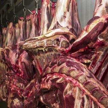 China aceitará carne bovina do Brasil certificada até 4 de setembro