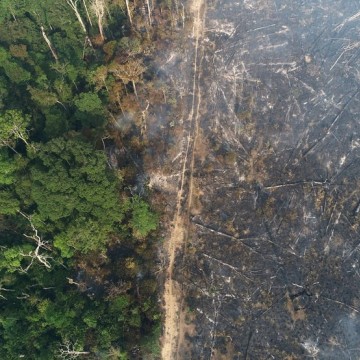 Desmatamento na Amazônia cai 36% no primeiro quadrimestre